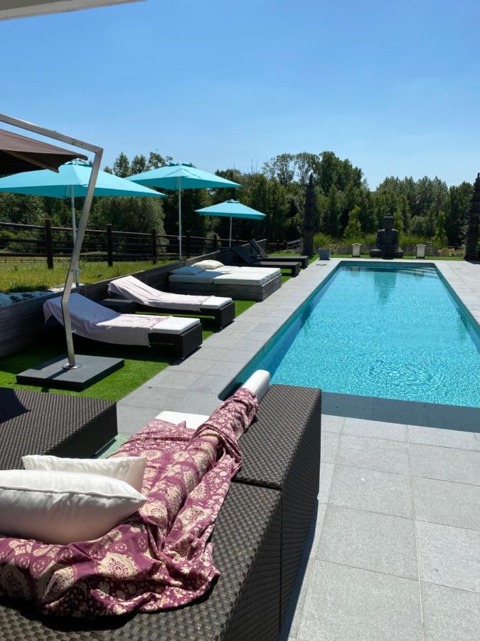 B&B La Douceur De La Miclette Ellezelles Luaran gambar
